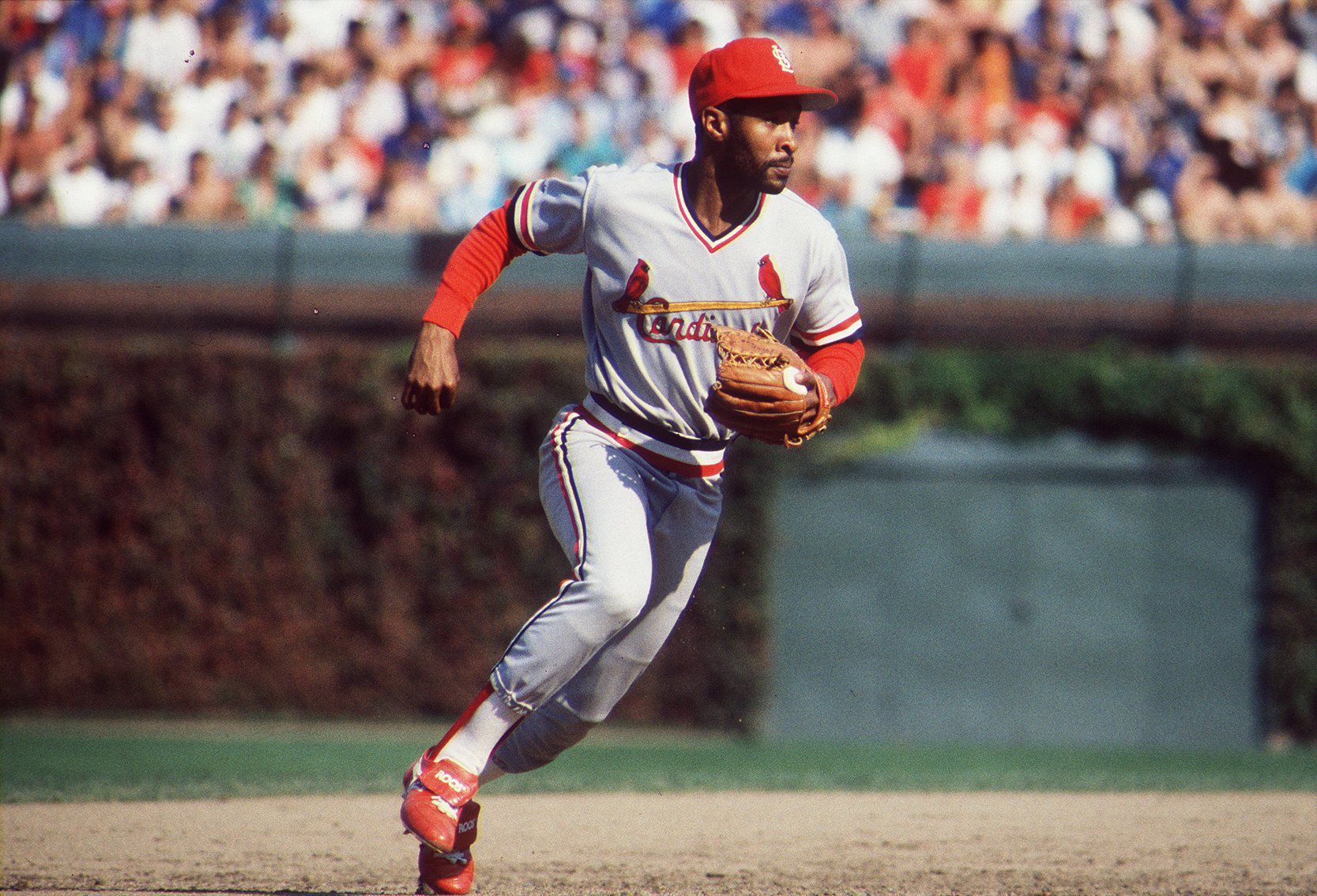Ozzie at Wrigley Field